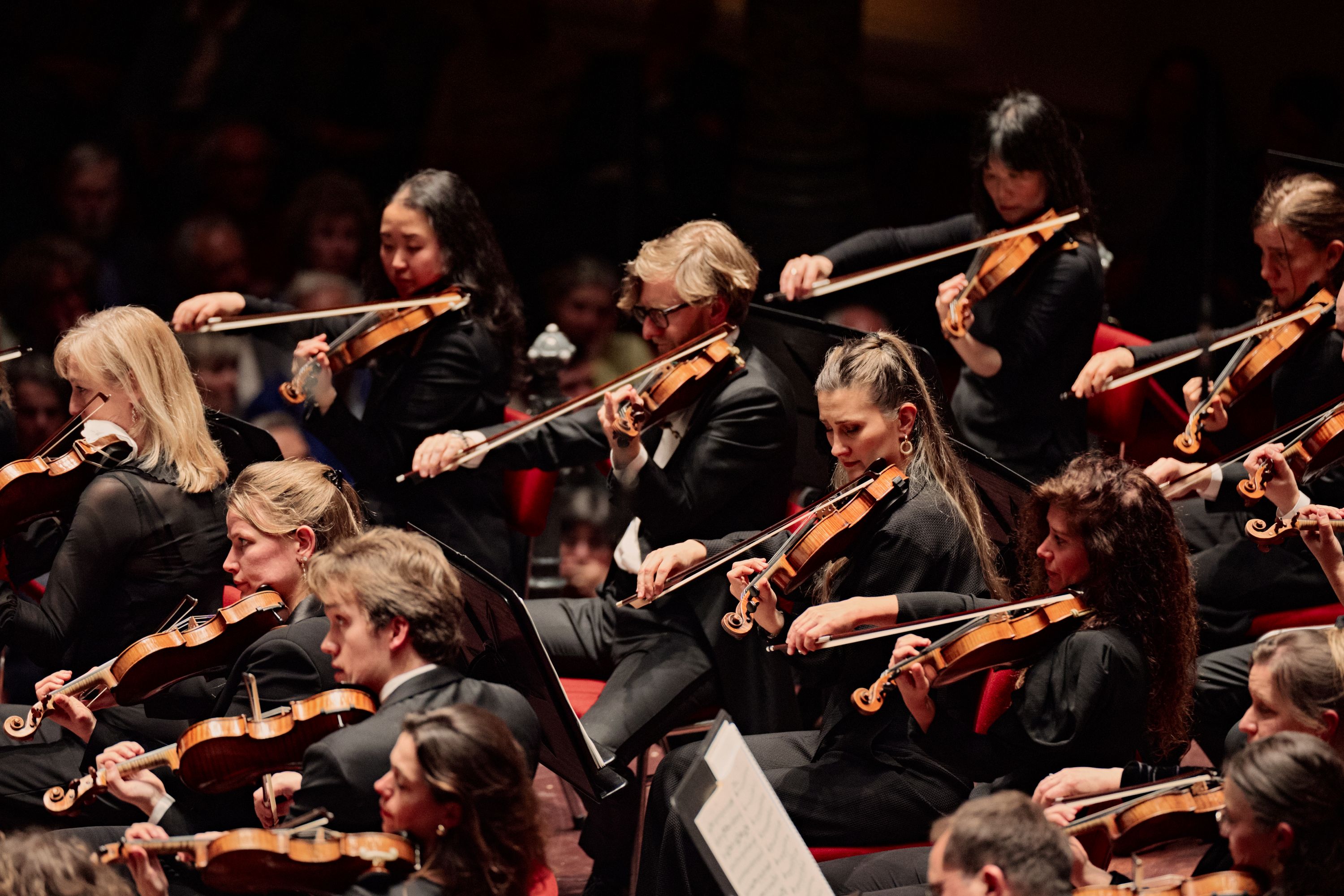 Abundant Beethoven