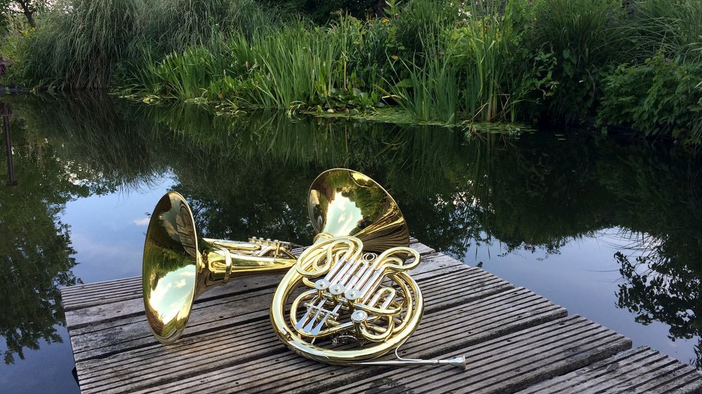 double horn and descant horn