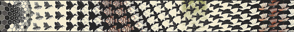 d0d81e79e754ebc250ed4483170f565b.png