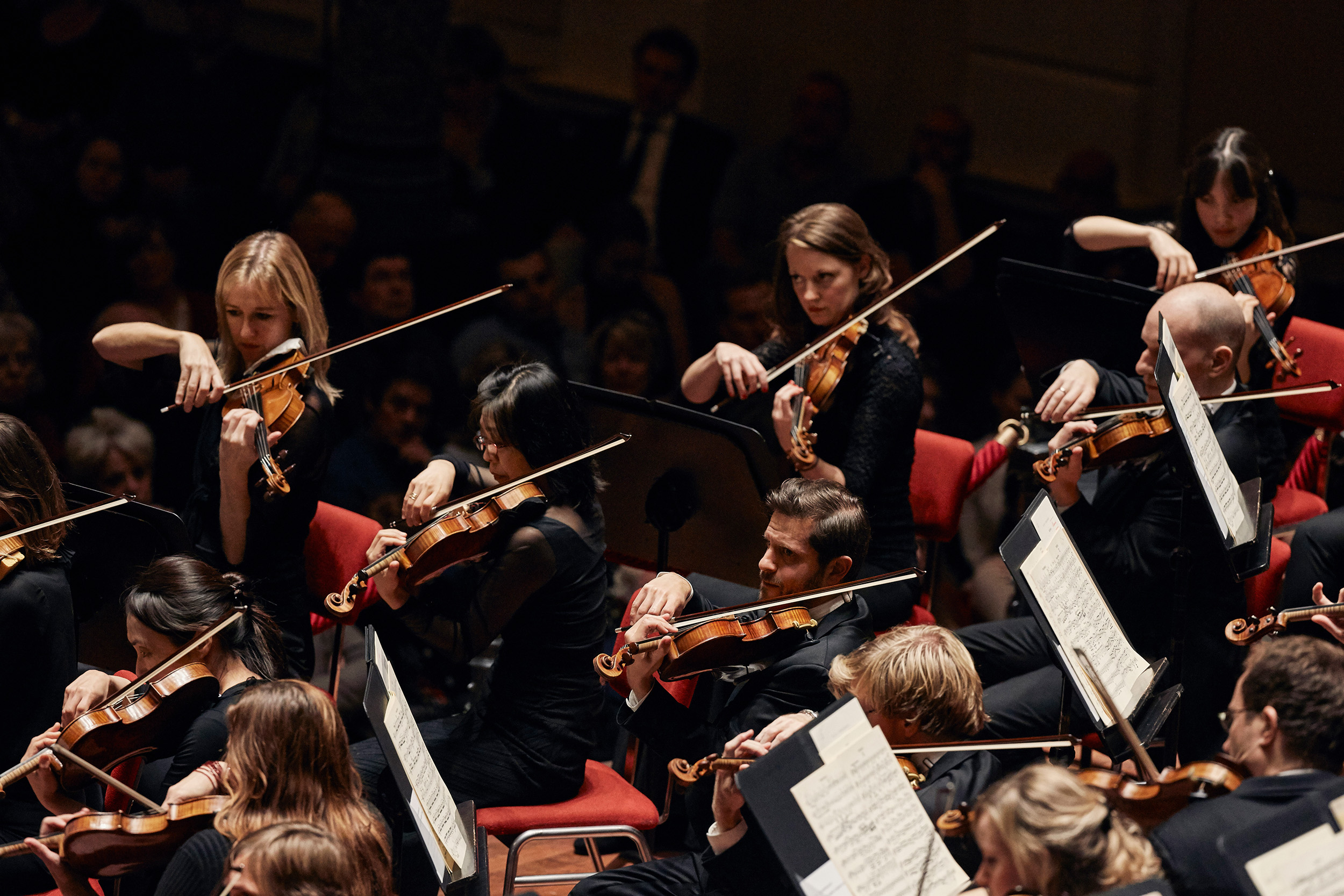 Concertgebouworkest Eerste violen (foto: Milagro Elstak)
